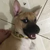 vivian.mz