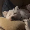 headofttpd