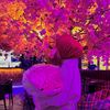 rnia_rniia