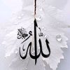 mudasermehar786