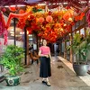 nguyenduyen1237