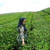 chairunnisniss92