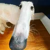 maykuuuuuuuuuuuu
