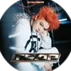 rhycap_dori