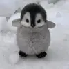dapesyd