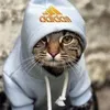 cuntydemeanor