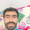 gul_mir_468