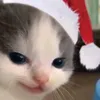 dii_01_11