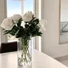 rosietran26
