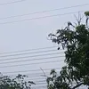 _nam.252