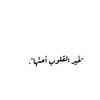 aseel431956321