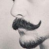 cap.talal
