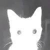 wwnmsha