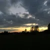sabz_m17