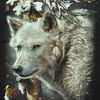 alex_08282
