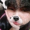 ywet.nu.wai.14