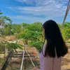 vyvy31211