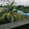 bimosaputra017653