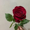 hamidah1416h