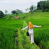 irajoy2