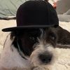 seriouslydude85