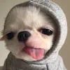ntn_ng