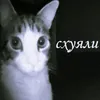 tsbysgsysgf