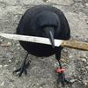tocodrake