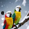 nour.dinfati