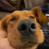 lily_0316