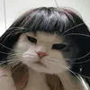 candeabrati