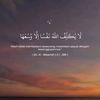 aqiilll09