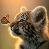 lolaaltawfiq