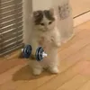 notvodkalover