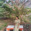 shoonlae794