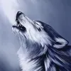 okami_okami