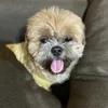 kloweezeyn