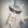 ledi_nezii