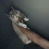 eric_761