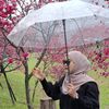 minong.26