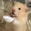 evelyn_didaudo