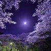 faith_495