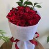 noora_8381