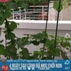 ryu6tjgjkfjfkrj7nxnxnkc