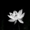 neu_hlu_ueb_ngocduy