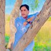 niazmeen941