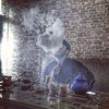 yusifabdullayev050