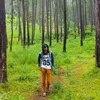 solyzain_king188