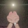 hano28446675