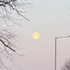 justascorpiomoon